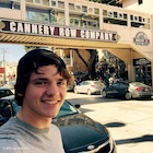 Joel Courtney : joel-courtney-1436014081.jpg