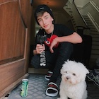 Johnny Orlando : johnny-orlando-1493327174.jpg