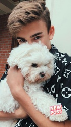 Johnny Orlando : johnny-orlando-1540150687.jpg