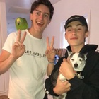 Johnny Orlando : johnny-orlando-1564453136.jpg