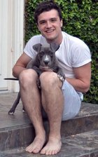 Josh Hutcherson : josh-hutcherson-1338422870.jpg