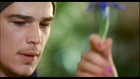 Josh Hartnett : joshhart_1223248202.jpg