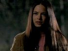 Kristin Kreuk : kristin_kreuk_1172959662.jpg