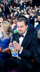 Leonardo DiCaprio : leonardo-dicaprio-1457329032.jpg