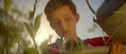 Levi Miller : levi-miller-1500323024.jpg