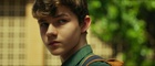 Levi Miller : levi-miller-1559689192.jpg