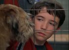 Liam Aiken : liam-aiken-1371169957.jpg