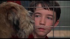 Liam Aiken : liam-aiken-1517504581.jpg