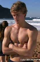 Luke Mitchell : luke-mitchell-1423509293.jpg