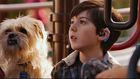 Mason Cook : mason-cook-1327154568.jpg