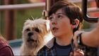 Mason Cook : mason-cook-1327154573.jpg