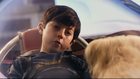 Mason Cook : mason-cook-1327154825.jpg