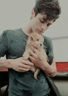 Matthew Daddario : matthew-daddario-1454973286.jpg