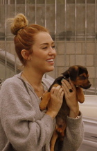 Miley Cyrus : miley-cyrus-1336851941.jpg