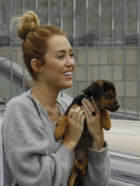 Miley Cyrus : miley-cyrus-1336851944.jpg