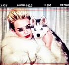 Miley Cyrus : miley-cyrus-1370107422.jpg