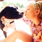 Miley Cyrus : miley-cyrus-1403970153.jpg