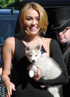 Miley Cyrus : miley_cyrus_1311638974.jpg