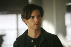 Milo Ventimiglia : milo_ventimiglia_1177865224.jpg