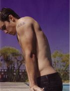 Milo Ventimiglia : milo_ventimiglia_1178554011.jpg