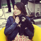 Miranda Cosgrove : miranda-cosgrove-1364574945.jpg