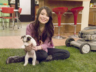 Miranda Cosgrove : miranda-cosgrove-1387070065.jpg