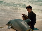 Nathan Gamble : nathan-gamble-1448516811.jpg