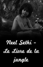 Neel Sethi : neel-sethi-1480031707.jpg