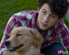 Nick Jonas : TI4U_u1229004713.jpg