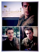 Nick Stahl : nick-stahl-1336877361.jpg