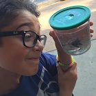 Nicolas Bechtel : nicolas-bechtel-1466980237.jpg