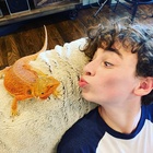 Owen Vaccaro : owen-vaccaro-1570397761.jpg