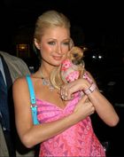 Paris Hilton : parishilton_1252852345.jpg