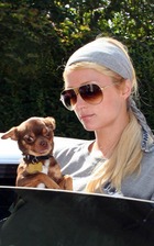 Paris Hilton : parishilton_1255240217.jpg