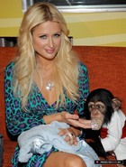 Paris Hilton : parishilton_1255330609.jpg