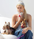 Paris Hilton : parishilton_1255330719.jpg