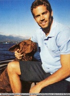 Paul Walker : ti4u_u0127061813_6.jpg