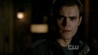 Paul Wesley : paulwesley_1253635010.jpg