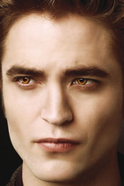 Robert Pattinson : robert_pattinson_1295469848.jpg