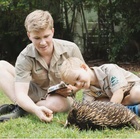 Robert Irwin : robert-irwin-1589225650.jpg