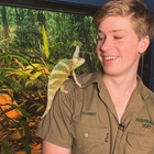 Robert Irwin : robert-irwin-1590771286.jpg