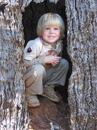 Robert Irwin : robert-irwin-1609037789.jpg