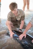 Robert Irwin : robert-irwin-1620863721.jpg