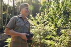 Robert Irwin : robert-irwin-1626729240.jpg