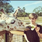 Ronan Parke : ronan-parke-1433453762.jpg