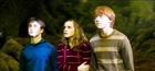 Rupert Grint : TI4U_u1179849900.jpg