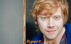 Rupert Grint : rupert-grint-1352189152.jpg