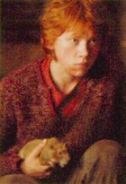 Rupert Grint : rupert_grint_1162500635.jpg