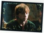 Rupert Grint : rupert_grint_1181683428.jpg