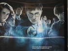 Rupert Grint : rupert_grint_1215386882.jpg